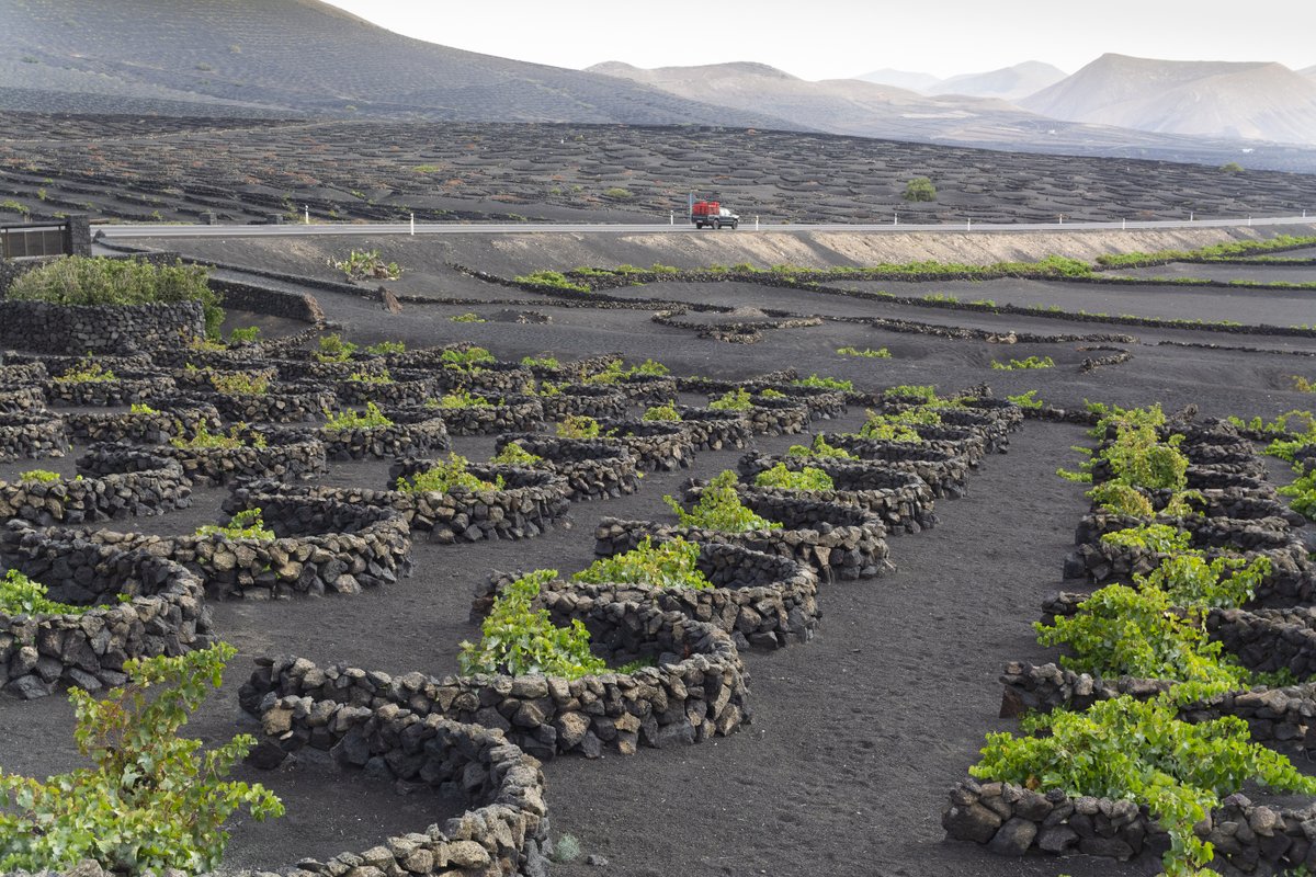 El #9sep celebramos que unos pocos alimentamos a muchos. Que aprovechamos los recursos y conservamos el patrimonio cultural y natural dando vida a los pueblos. Que nos esforzamos por ser cada día sostenibles y rentables ¡Y no es fácil! 
Feliz #DiaMundialDeLaAgricultura