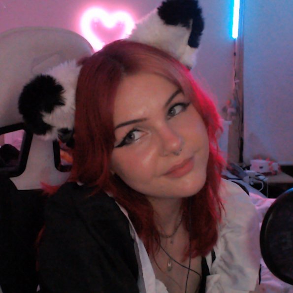 beefrix :3 tweet media