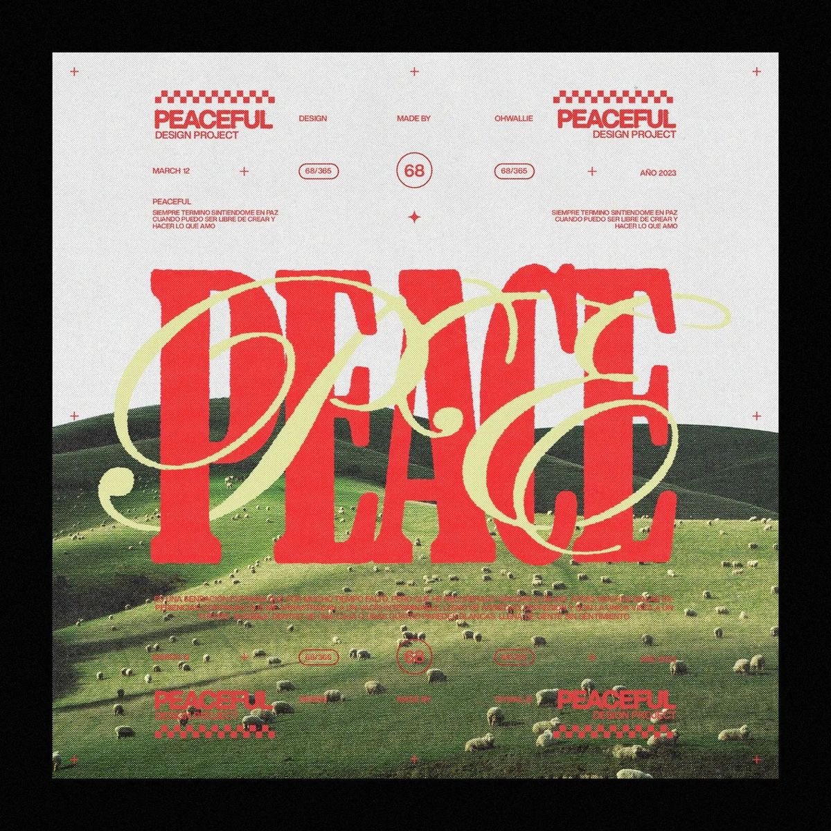 pietrobaudin's tweet photo. These 4 Fonts Are Incredible

↓ Download Below https://t.co/cFYBvP7f9y