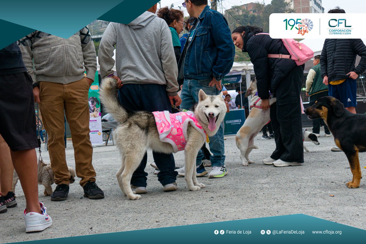 Jornadas Médicas Veterinarias en la explanada de la #195FeriaDeLoja, gracias a @puentearcoiris.ec ❤️🐶🐾