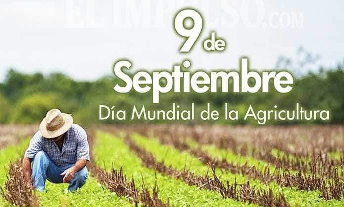 Congrès de l’UMAU Union mondiale des agraristes universitaires à Belem (Brésil) ! Le renouvellement des générations en agriculture pour la France y sera évoqué. <a href="/AFDRural/">Association française de droit rural</a> <a href="/Labo_Crjfc/">CRJFC</a> <a href="/fc_univ/">université de Franche-Comté</a>