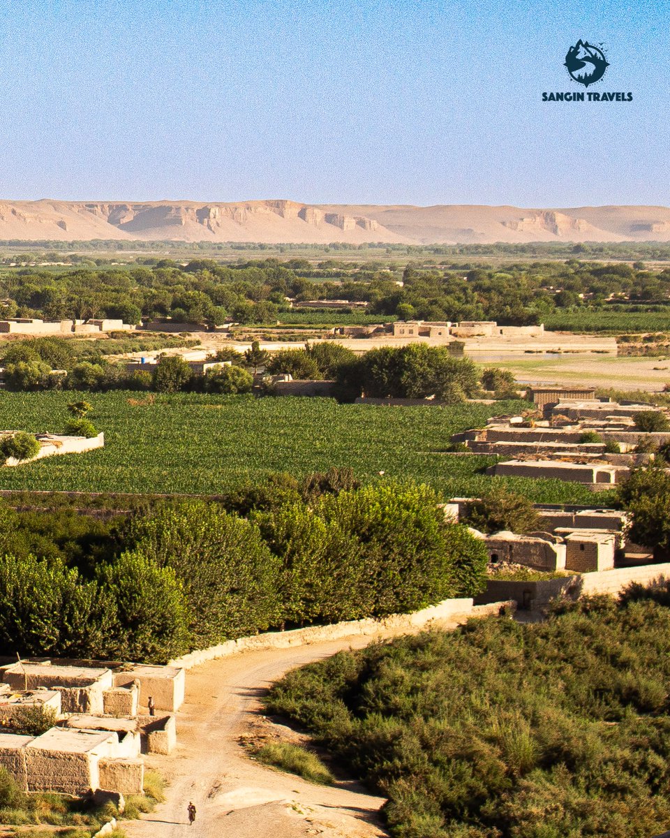 SanginTravels's tweet photo. Despite being known for its vast Registan Desert, Helmand province is also home to some stunningly lush villages, offering a vibrant contrast with their fertile landscapes and green oases. 🌿 https://t.co/9Vq3IrfBgi
