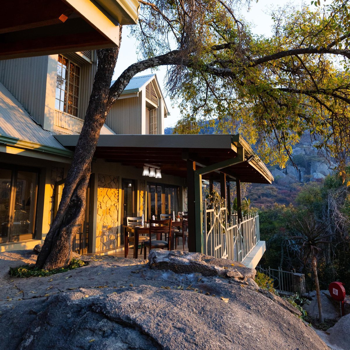 Ranga.🇿🇼 tweet media