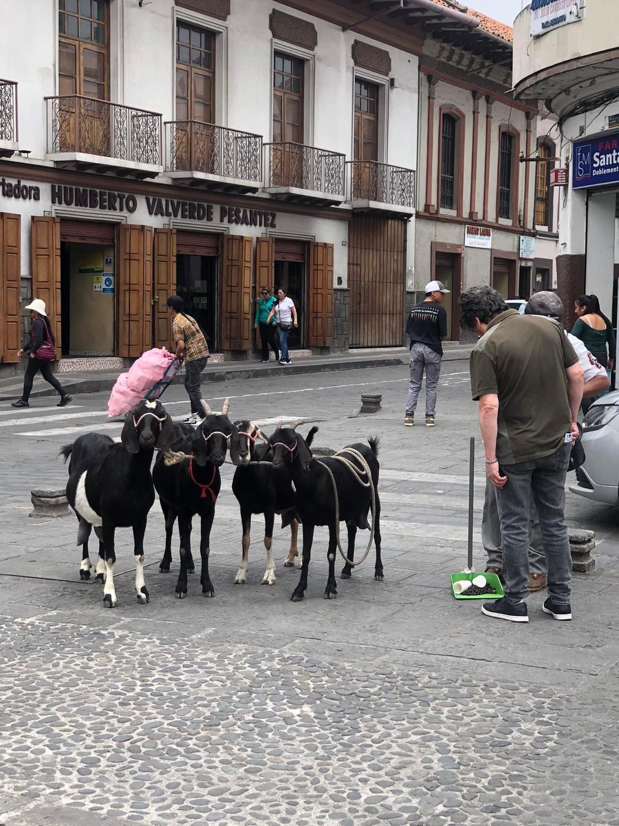 Periodismo Sin Mordaza tweet media