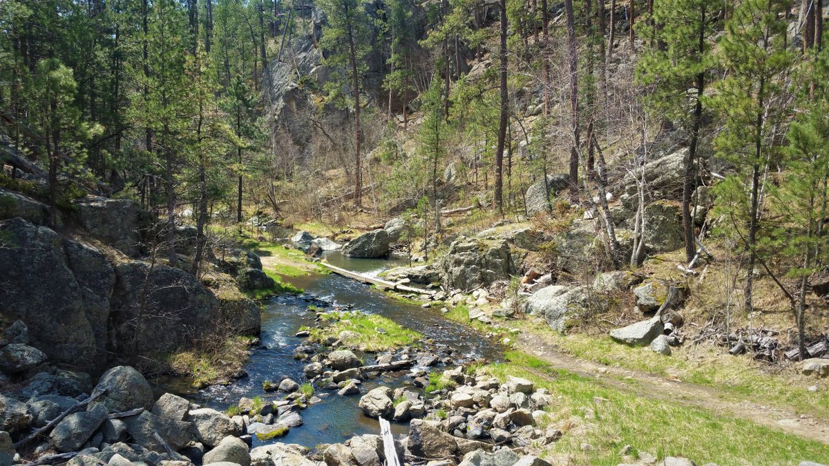 michael_delk's tweet image. Grabbed a trail run in the sun yesterday up to Center Lake and back via Grace Coolidge Trail 
... 
What else would a person do while waiting for a system backup to complete?
#oldmanspeed #developertime #trailrunning