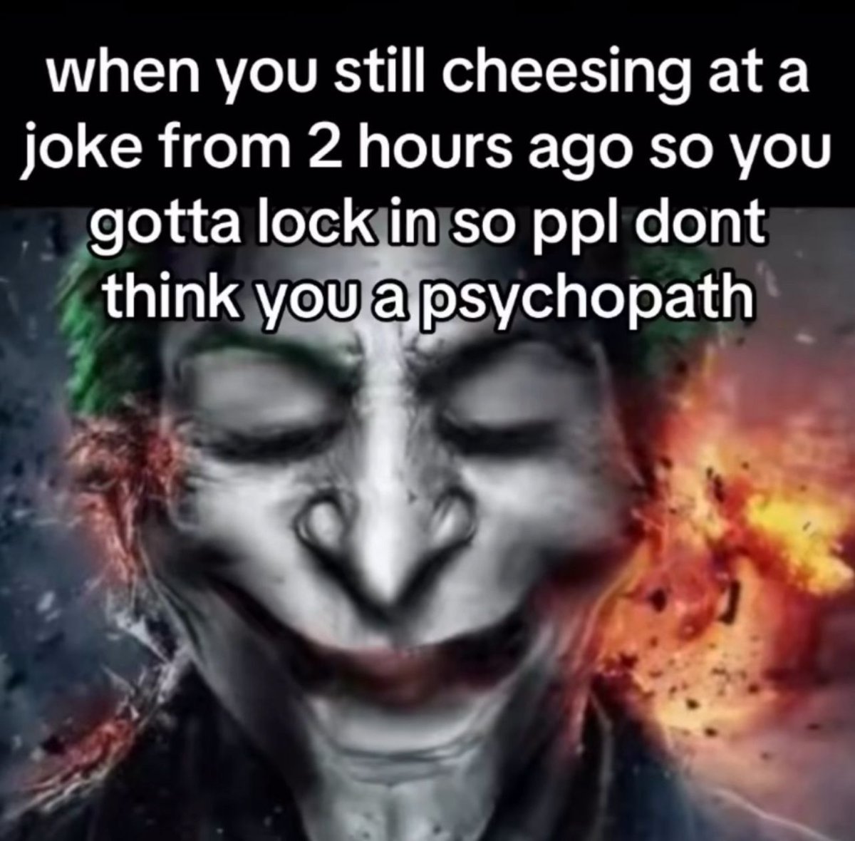 Wild TikToks tweet media