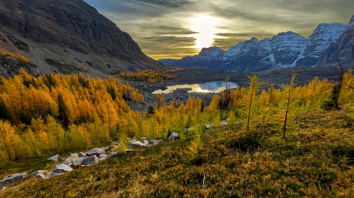 EricTAdventures's tweet photo. The amazing Valley of the Ten Peaks & Wenkchemna Pass located just west of Moraine Lake in Banff National Park.
https://t.co/uh5ZIVCIQV
#hikebanff #morainelake #wenkchemnapass #valleyoftenpeaks #banffhiking #banfflife #banffadventures #albertahikes #banffadventure https://t.co/kEpPXrobuZ