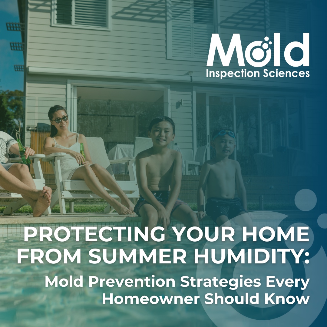 MISciences's tweet image. Summer’s here, and so is the risk of mold! Increased humidity can lead to mold growth, affecting your health and home. Check out our latest blog post for tips on protecting your space. bit.ly/472G3je #MoldControl #HomeHealth