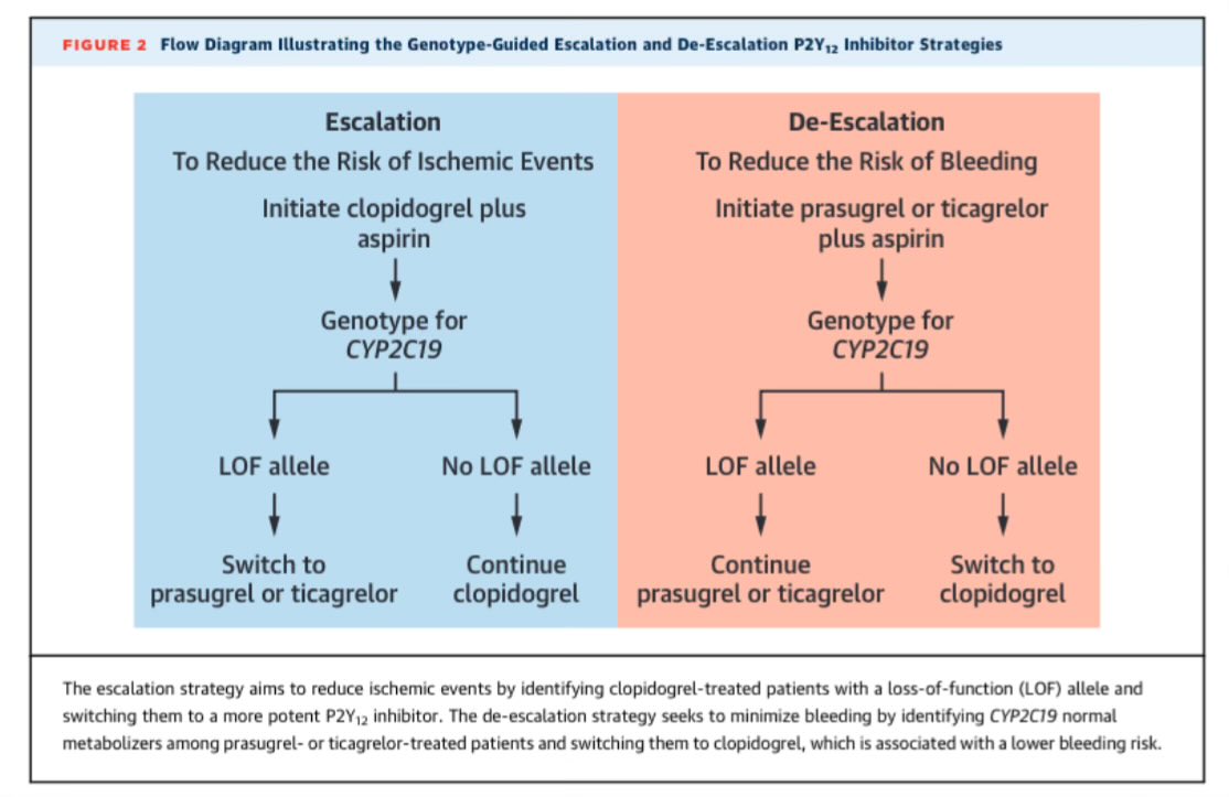 SeguraCardio's tweet image. 📌Genotype-Guided Antiplatelet Therapy🧬
@JACCJournals #Review #TopicOfTheWeeK 

#Antiplatelet