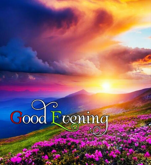 Good Evening Good Night Everyone Hope you all had a nice day