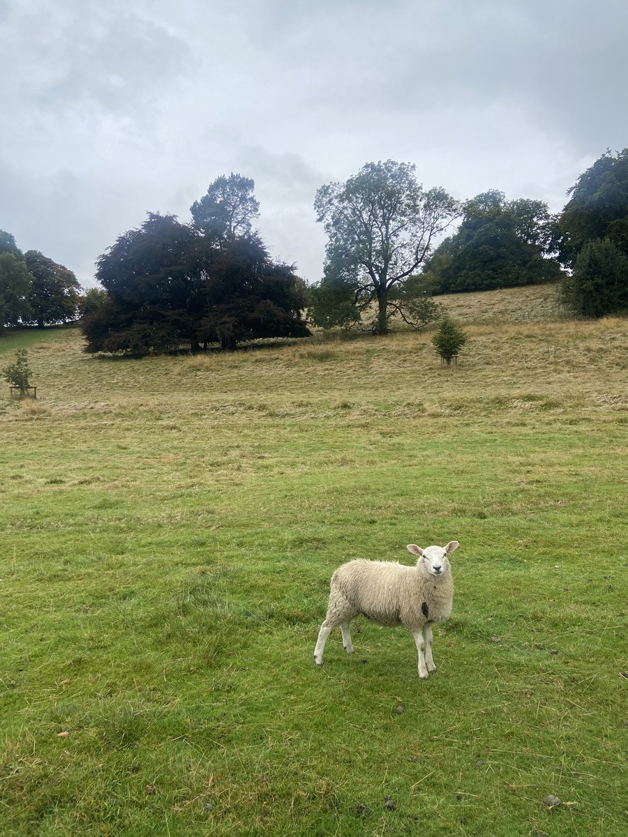 man_no_ion's tweet photo. pretty greens in the Peak District https://t.co/Us4r0W1FGN
