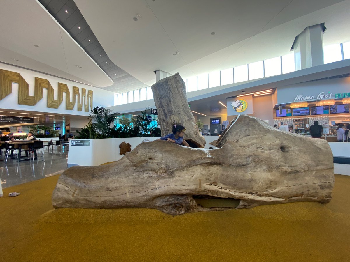 cobycycles's tweet photo. SFO saving my life right now with this play area for my kids in its B Terminal 👏 👏 @flySFO https://t.co/NoXlCkOiSA