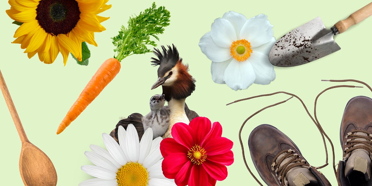 Climate News NZ tweet media