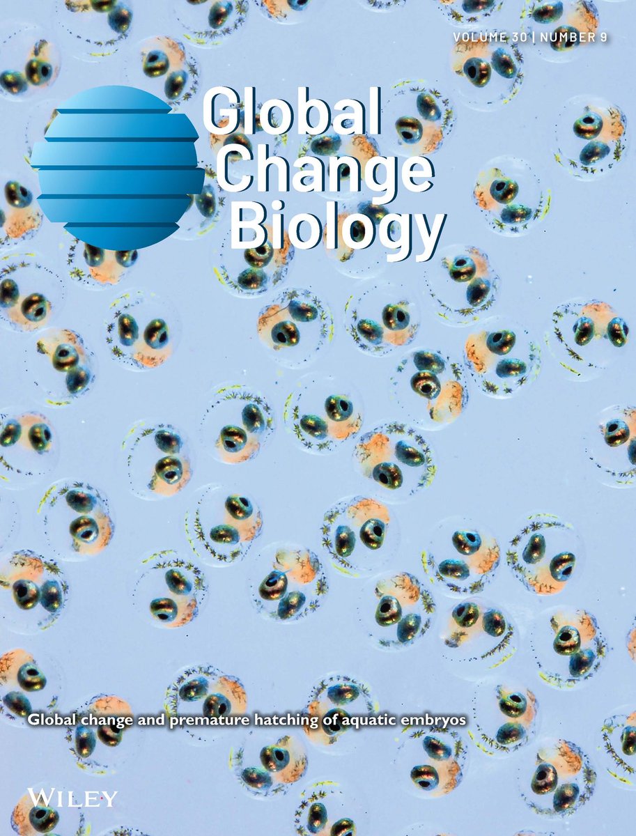 Take a look inside our latest issue 👀
📖 onlinelibrary.wiley.com/toc/13652486/2…

📸  Two-spotted goby eggs were attached by a female to an acetate sheet which allowed photography of the egg development and embryonic movements. Photo by Fredrik Jutfelt. See: Cowen et al. onlinelibrary.wiley.com/doi/full/10.11…