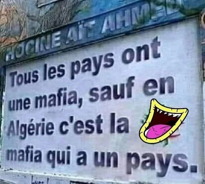 marie cecile tweet media