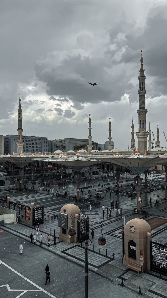 visitalharamain's tweet photo. MADINAH 🤍❤️ https://t.co/VhOW6Rg1Hh