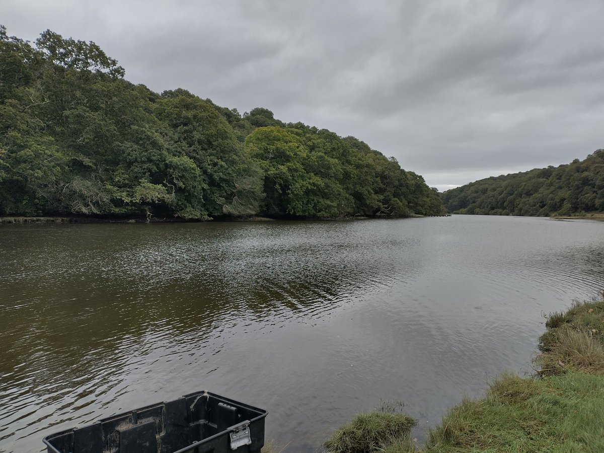 _RachelTurnbull's tweet photo. An interesting start to the first @PlymUni #seabass expedition of September 2024! Some unexpected encounters, plenty of mud, and a bass on the first day! #FHRU https://t.co/SGhfDBzDjm