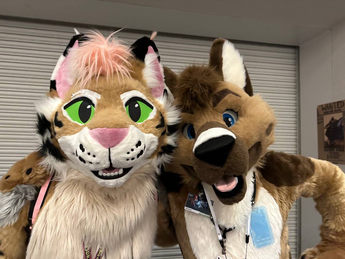 Home from FM! 

Had a great time catting around and doin a chill con with a lot of local buds!