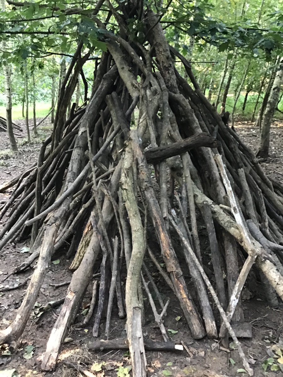 CarterhatchJun's tweet photo. What a start! 

The sun has been shining and blue skies! 

An afternoon of den building including waterproof testing, followed by learning how to sustain a fire. 

Rooms all organised and our night walk was a success... we even found several bats! https://t.co/pikxaSFmxw