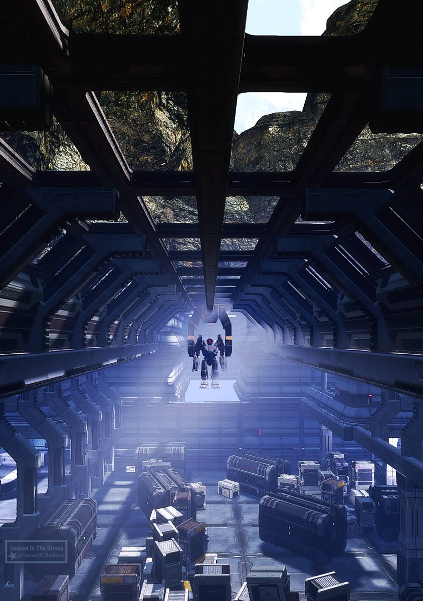 Damsel In The ✰ VP tweet media