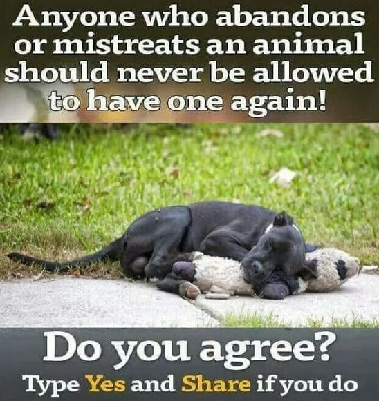 DogLovers03's tweet photo. https://t.co/sMTwjZk4Nl