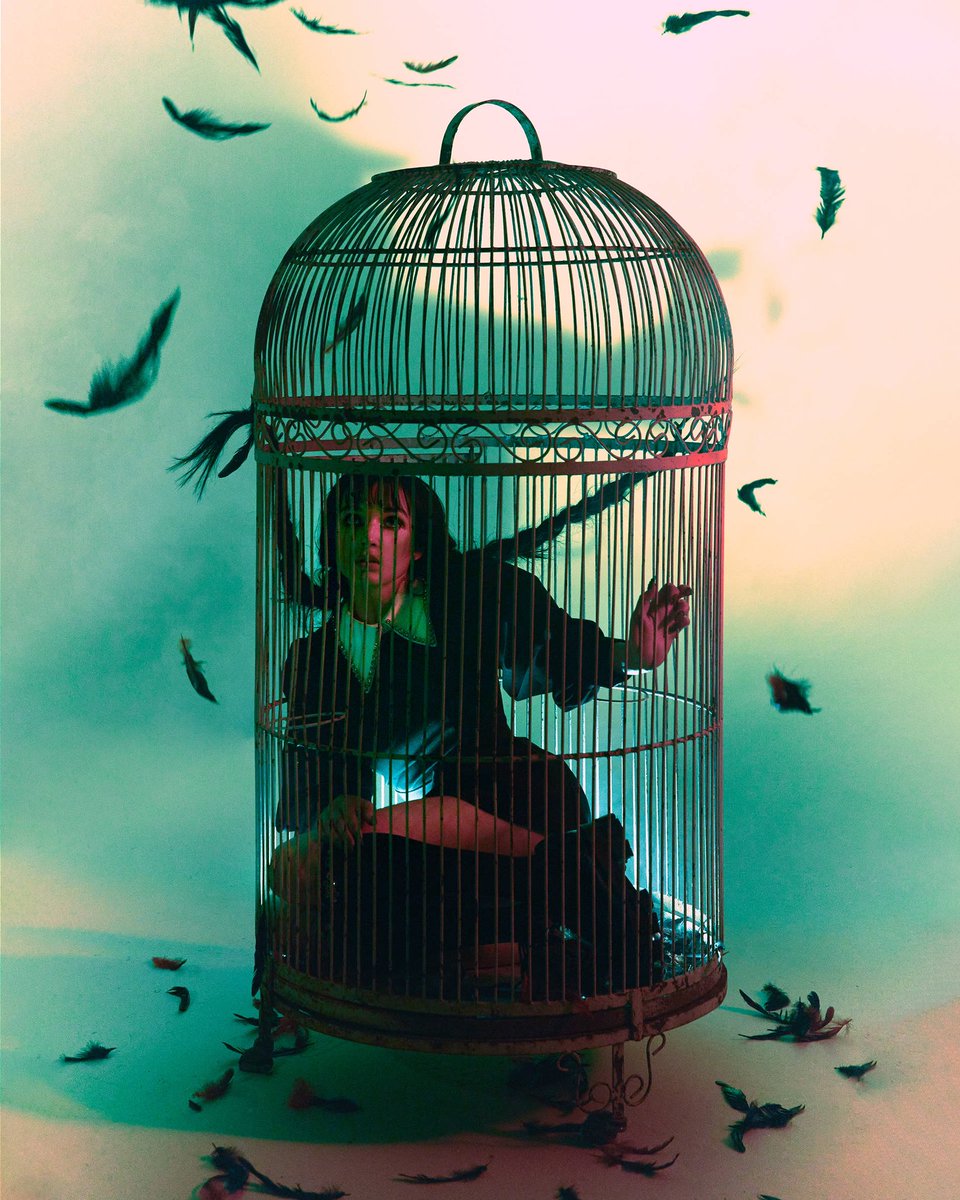 THE BRIDS. THEYRE GETTING HER AGAUN