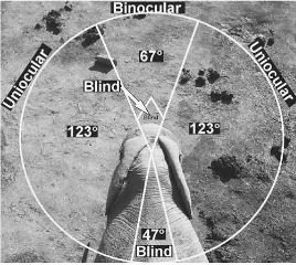 Ausarchosaur tweet media