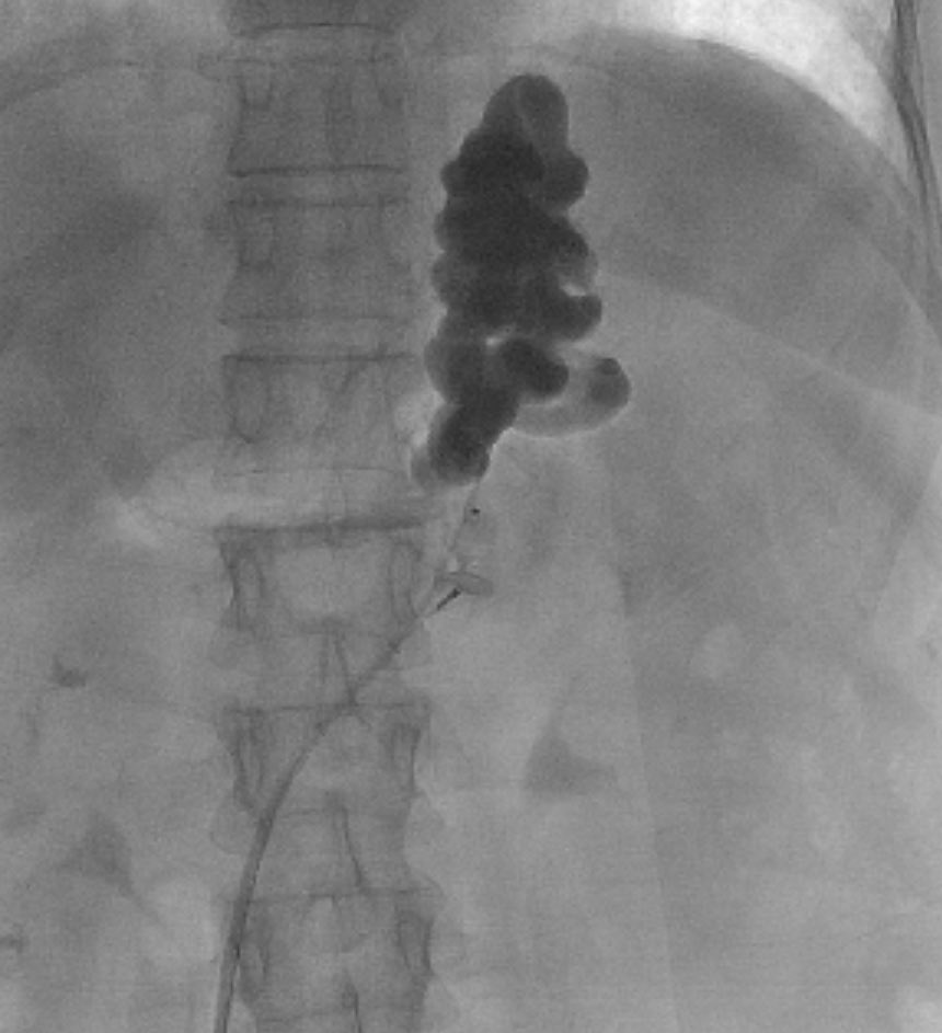 د.عبدالرحمن القحطاني tweet media