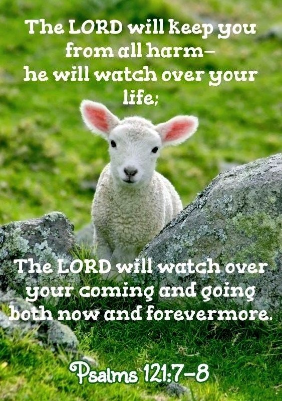 SunitaHines's tweet photo. #Pray💚🩷🤍
Father, in Jesus' name,
I lift up my dear friends to You.
I thank You for being their Protector, for sheltering them from all manner of evil, physical, and spiritual.
I thank You that when they submit to You, they will receive Your covenantal blessings.
#Amen🤍🩷💚 https://t.co/xdUB24gcbt