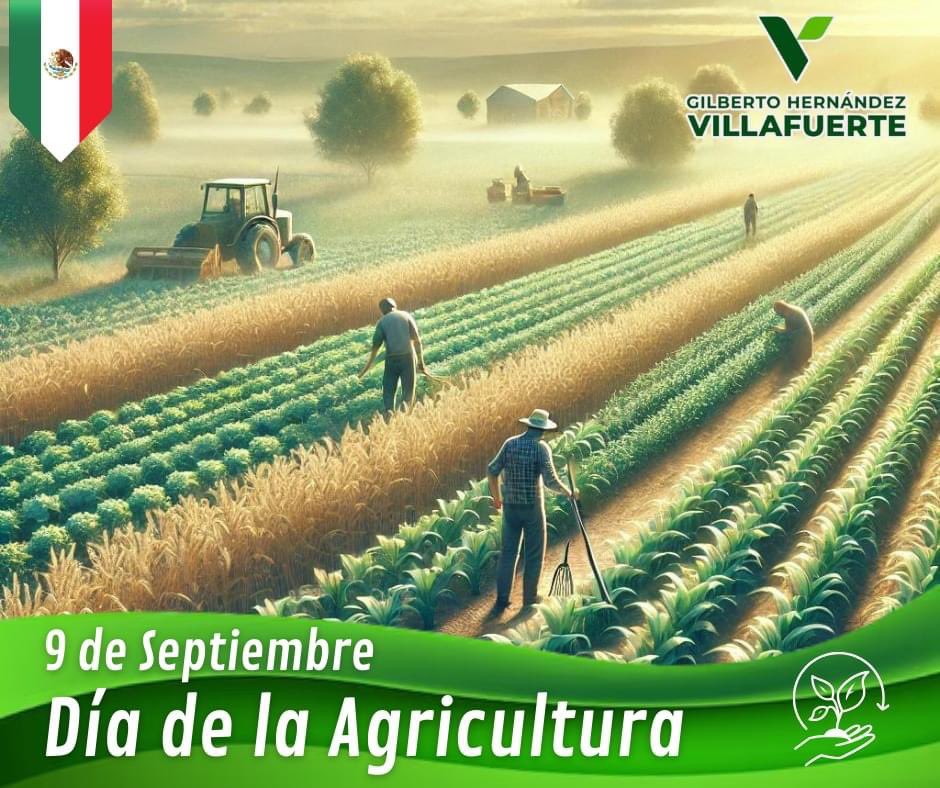 Gilberto Hernández Villafuerte tweet media