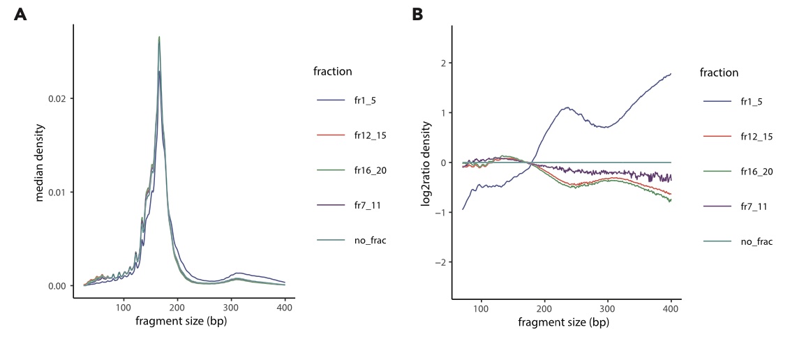 FlorentMouliere's tweet image. DNA size profile and fragment-end composition #fragmentomics roughly equivalent to #cfDNA size profile with added HMW for sEV fractions. In silica selection of HMW does not reveal enrichment in tumor signal in these HMW.