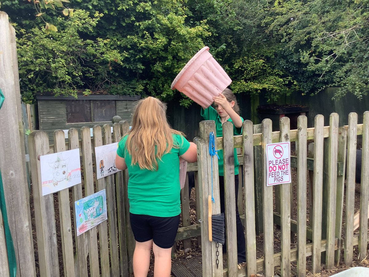 Watersidepigs tweet media