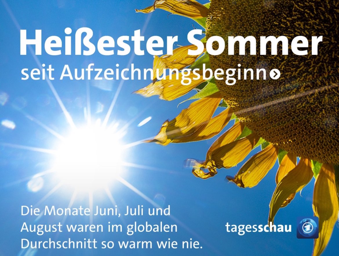 Carla Reemtsma tweet media