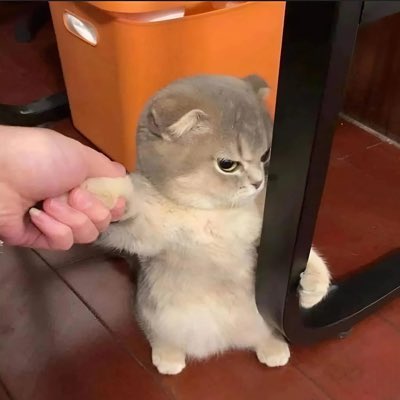 candyrelateable's tweet photo. #NewProfilePic https://t.co/fwhxI5ucTO