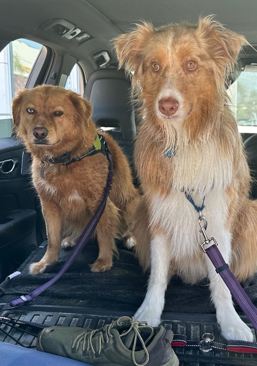 LUNA: Mom! Tell him to stay on his side of the car!! He’s touching me!😭
DANTA: What? I’m just sitting here minding my own business. I don’t know what her problem is?