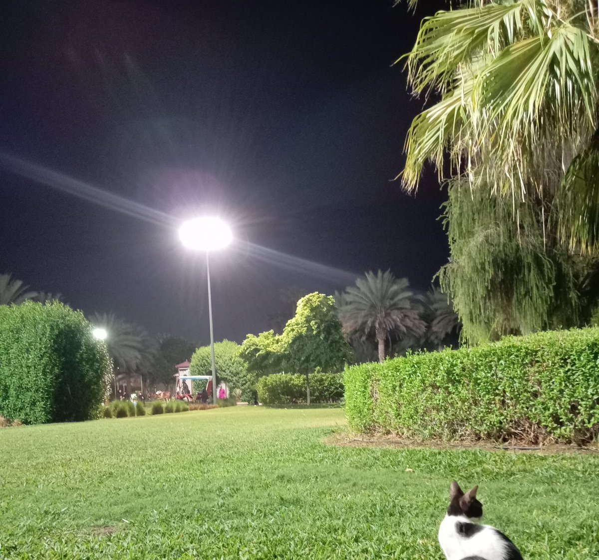 إذا لم تستطع إسعاد شخص تُحبه ، 
فادعو اللهَ أن يُسعِده ، 
اللهم أسعدنا ومن نُحب سعادة  لا شقاء بعدها 
أسعدكم الله في الدنيا والآخره..