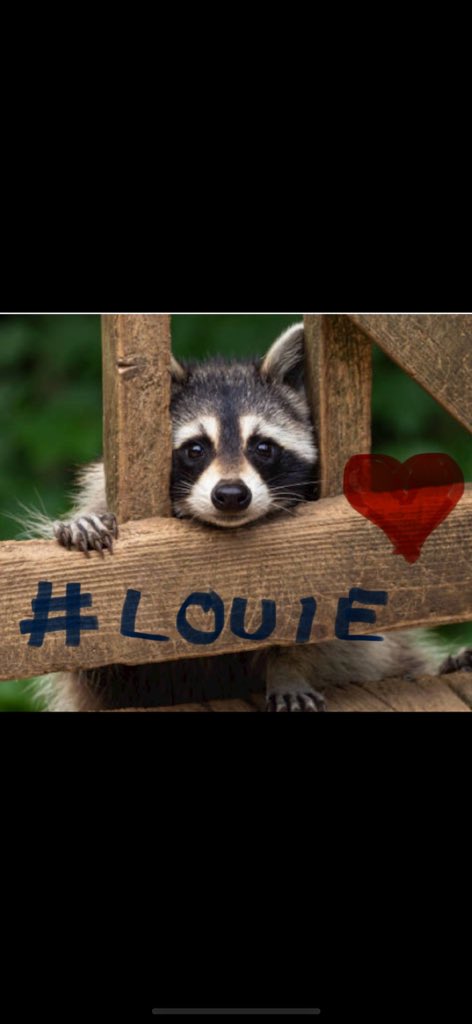 vedran001's tweet photo. @theshadecrypto @coingecko #Louie lfg 🚀🚀🚀 https://t.co/wKNn59i3jc
