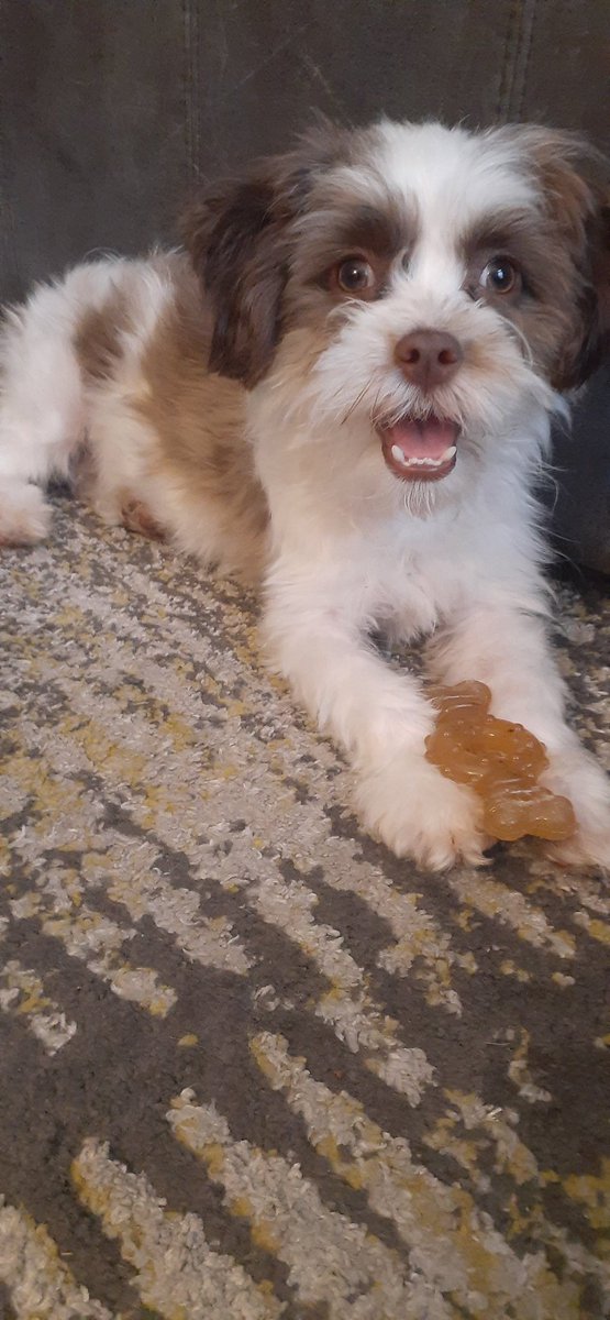 CybeRtBipolar's tweet photo. @reazlepuff Kirby says Happy birthday to your baby too! https://t.co/qDAhN6VOKn