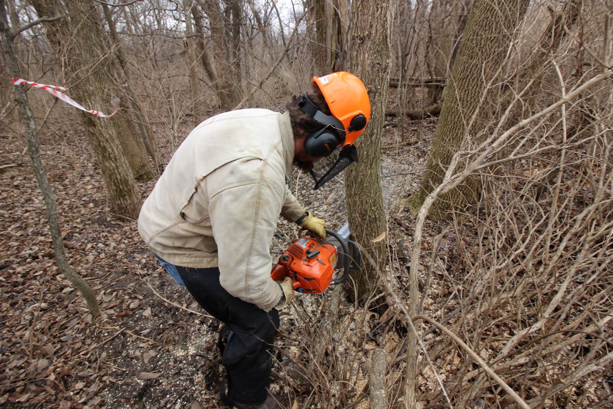 Habitat Safety Series to Be Featured on the Habitat University Podcast dlvr.it/TD1kNw