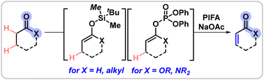 Morandi Lab (@morandilab) on Twitter photo Congrats <a href="/BenceBBotlik/">Bence B. Botlik</a>, <a href="/PDFinkelstein/">Patrick Finkelstein</a>, <a href="/PaschkeAK/">Ann-Sophie K. Paschke</a> and <a href="/j_reisenbauer/">Julia Reisenbauer</a> for this versatile dehydrogenation of carbonyls enabled by an iodine(iii) reagent - now published in Chemical Communications <a href="/ChemCommun/">Chemical Communications</a> pubs.rsc.org/en/content/art… Congrats <a href="/BenceBBotlik/">Bence B. Botlik</a>, <a href="/PDFinkelstein/">Patrick Finkelstein</a>, <a href="/PaschkeAK/">Ann-Sophie K. Paschke</a> and <a href="/j_reisenbauer/">Julia Reisenbauer</a> for this versatile dehydrogenation of carbonyls enabled by an iodine(iii) reagent - now published in Chemical Communications <a href="/ChemCommun/">Chemical Communications</a> pubs.rsc.org/en/content/art…