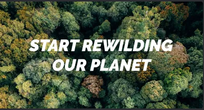 BitGirlsVeChain's tweet image. 📢Week 6/8 of celebrating our @MossyEarth subscription #BitGirls is giving away 200 $B3TR tokens 🔥🔥🔥and this every week until our #DreamChicks mint end of september
To take part➡️
1) Follow us
2) Like this tweet
3) retweet
4) Tag at least 3 people
5) Good luck!
#VeBetterDAO