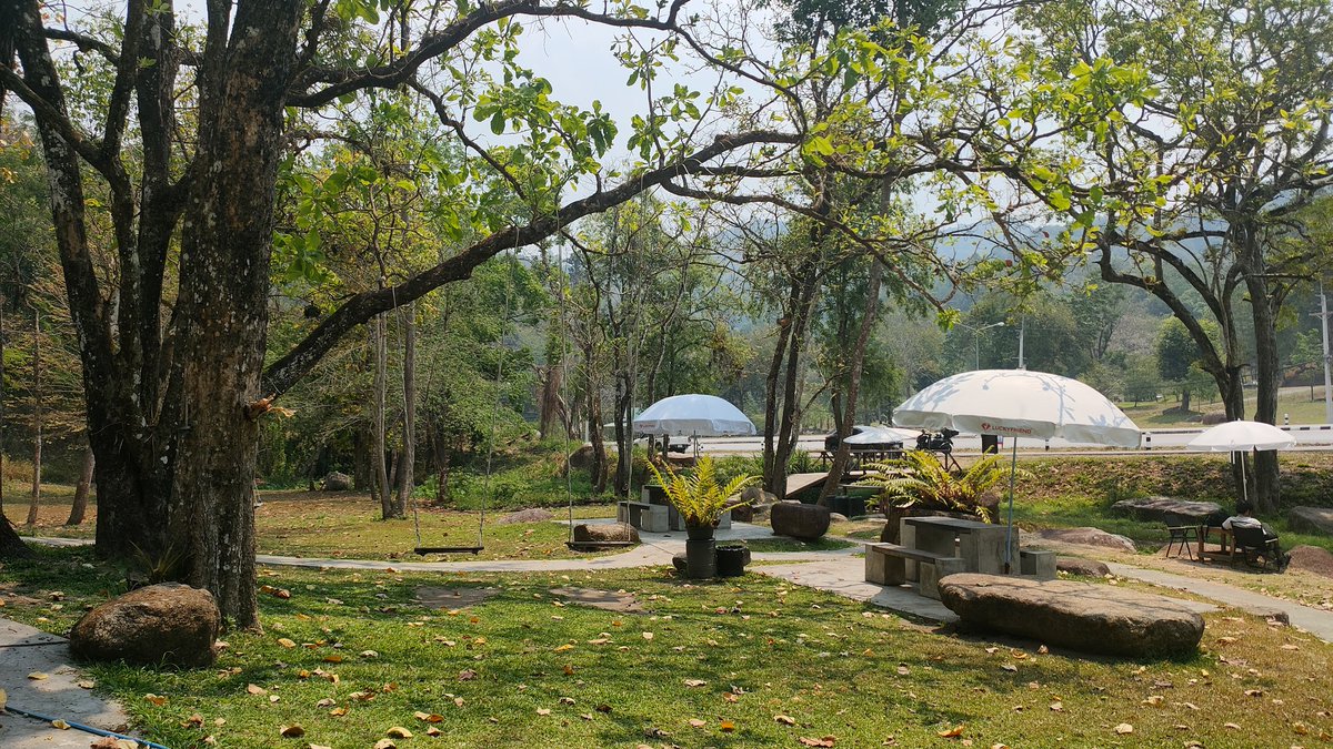 Rain gone Winter coming