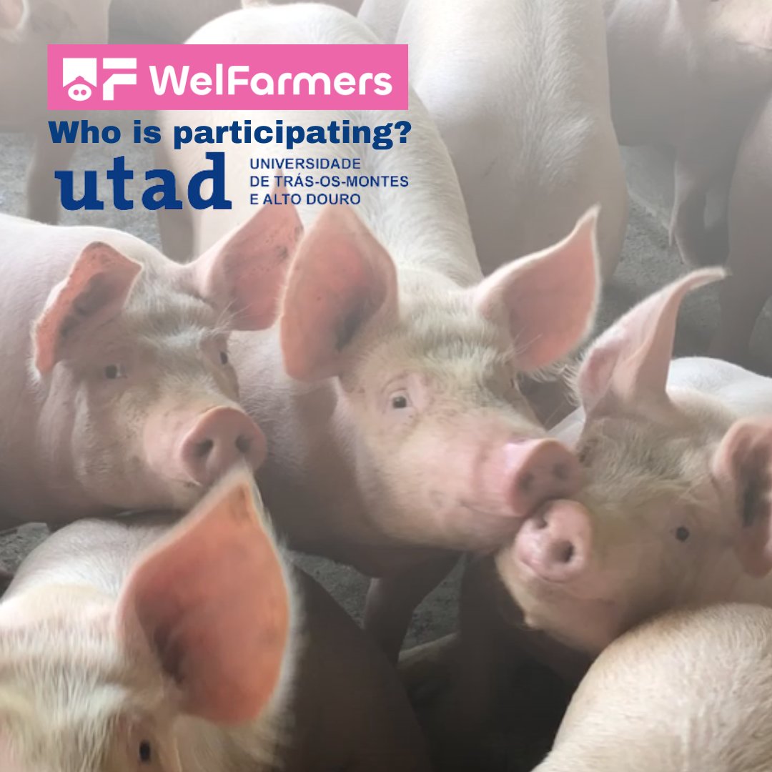 The <a href="/UTAD_oficial/">UTAD</a> is a high-level institution oriented towards the creation, transmission and diffusion of culture, knowledge and science through the articulation of teaching, research and experimental development. Thanks for joining the WelFarmers Project!