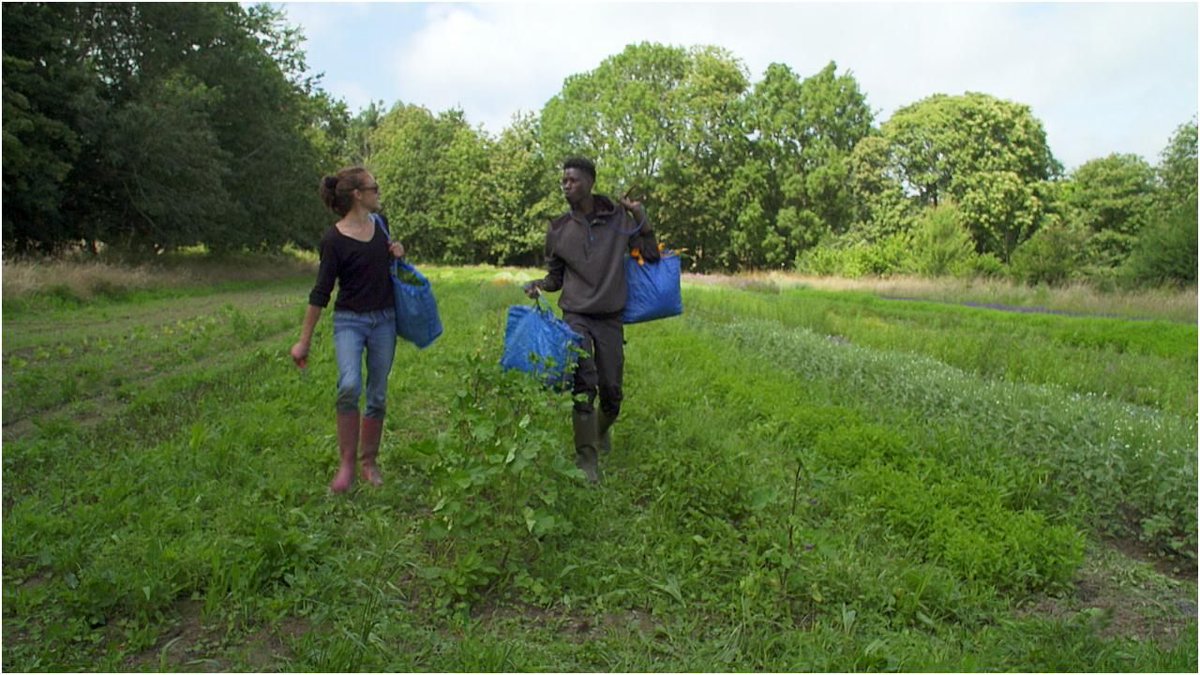 Anaïs, 2 chapitres : un documentaire enthousiasmant [critique]
Marion Gervais brosse le portrait, à dix ans d’intervalle d’une jeune paysanne bretonne qui ne s’en laisse pas conter.

buff.ly/3ToyQ7r