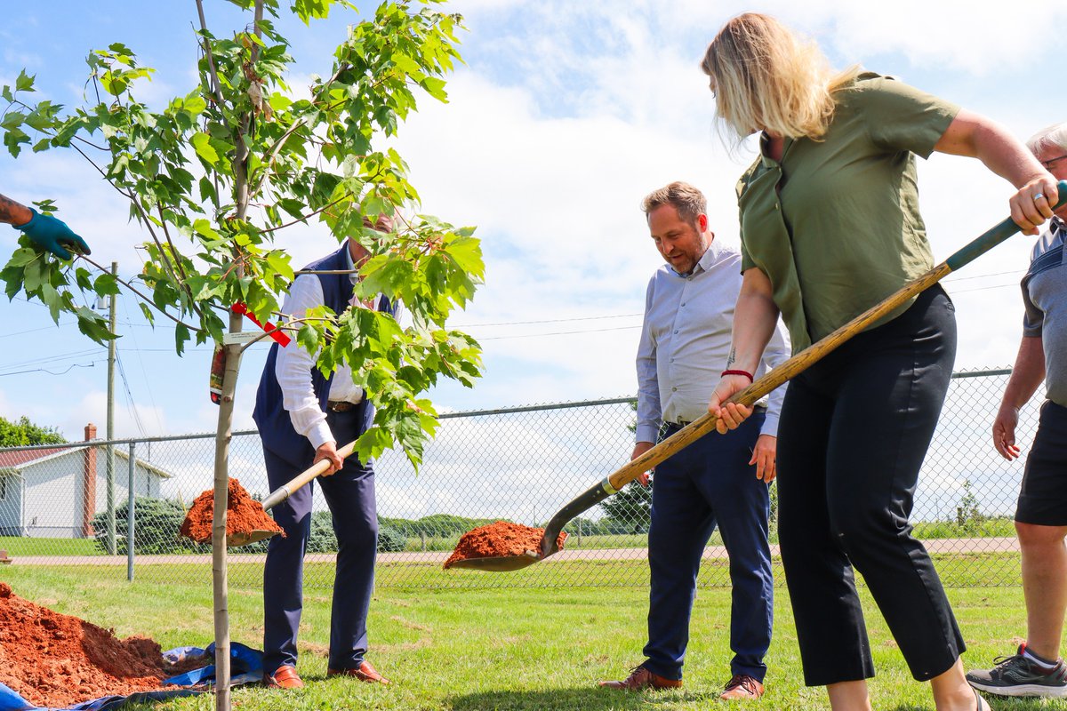 CommonGroundMBH's tweet photo. The team at Microtel Inn &amp; Suites by Wyndham Summerside has recently launched the 'Plant a Tree' initiative. This program allows hotel guests to opt out of a room refresh and instead, the hotel will plant a tree on their behalf. Great work, team! 🌳@summersidePEI https://t.co/9cpeKMkkkI