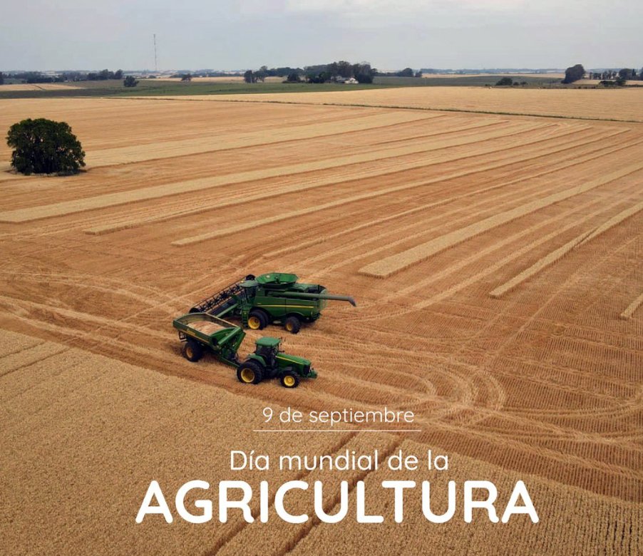 🌾En el Día Mundial de la Agricultura, celebramos a quienes trabajan la tierra. En ADG, apoyamos un desarrollo sostenible con gas LP, una fuente eficiente y limpia para el campo. ¡Juntos cultivamos un futuro agrícola más eficiente! 🚜💚 #DíaMundialDeLaAgricultura #Sostenibilidad