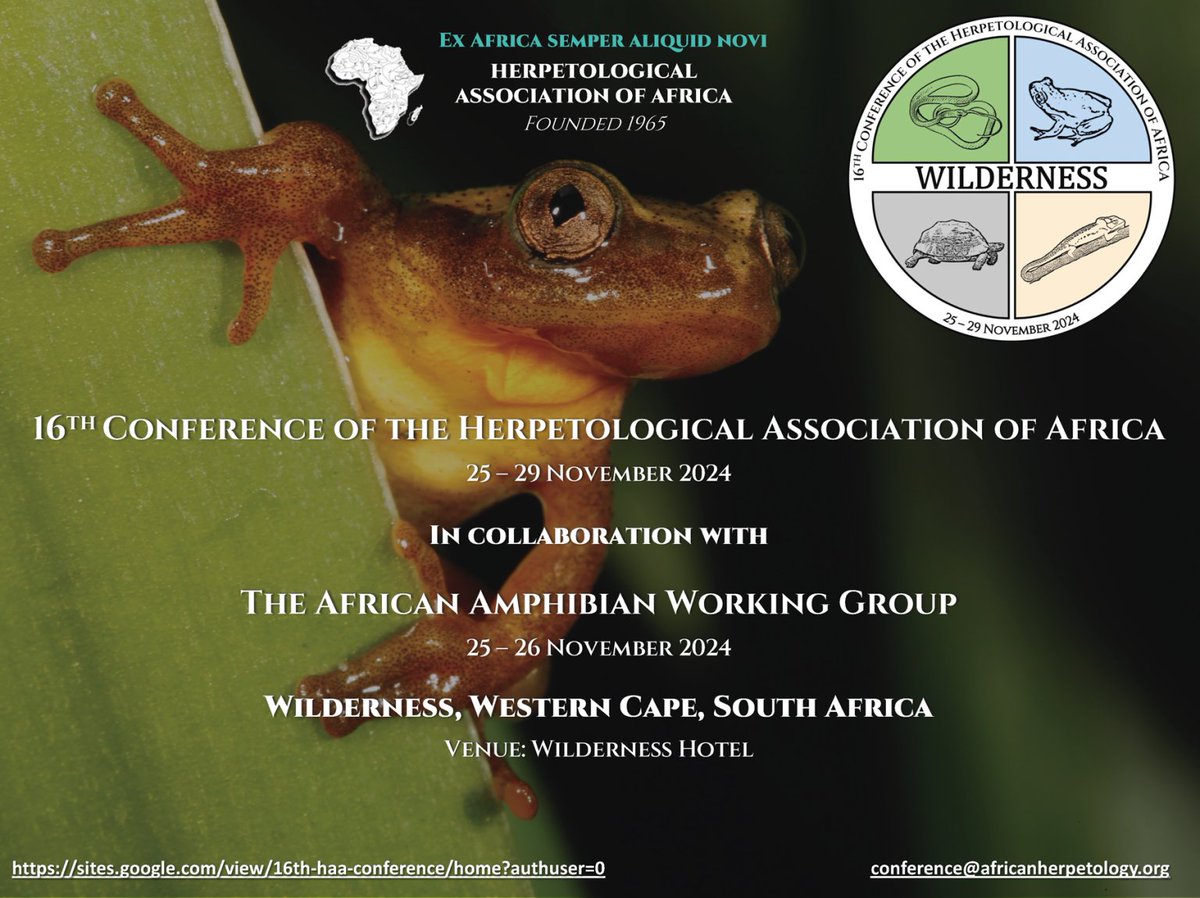 IUCN SSC Amphibian Specialist Group (@iucn_asg) on Twitter photo Mark your calendars for the 16th meeting of <a href="/AfricaHerp/">HerpAssociationAfrica</a> and the African Amphibian Working Group between Nov. 25-29, 2024 in South Africa
Early bird registration closes on 15 Sept. 2024.
🔗 Register here: sites.google.com/view/16th-haa-…
#HAA24 #AmphibianConservation #AAWG Mark your calendars for the 16th meeting of <a href="/AfricaHerp/">HerpAssociationAfrica</a> and the African Amphibian Working Group between Nov. 25-29, 2024 in South Africa
Early bird registration closes on 15 Sept. 2024.
🔗 Register here: sites.google.com/view/16th-haa-…
#HAA24 #AmphibianConservation #AAWG