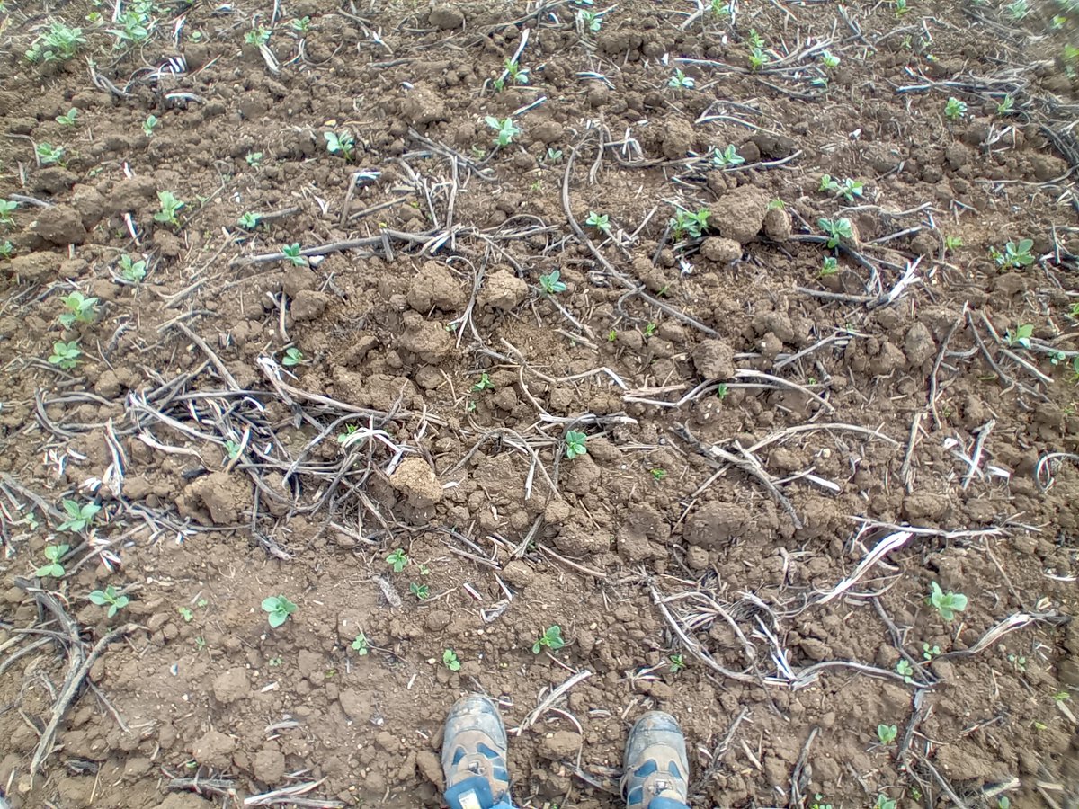 GUYOT Vincent tweet media