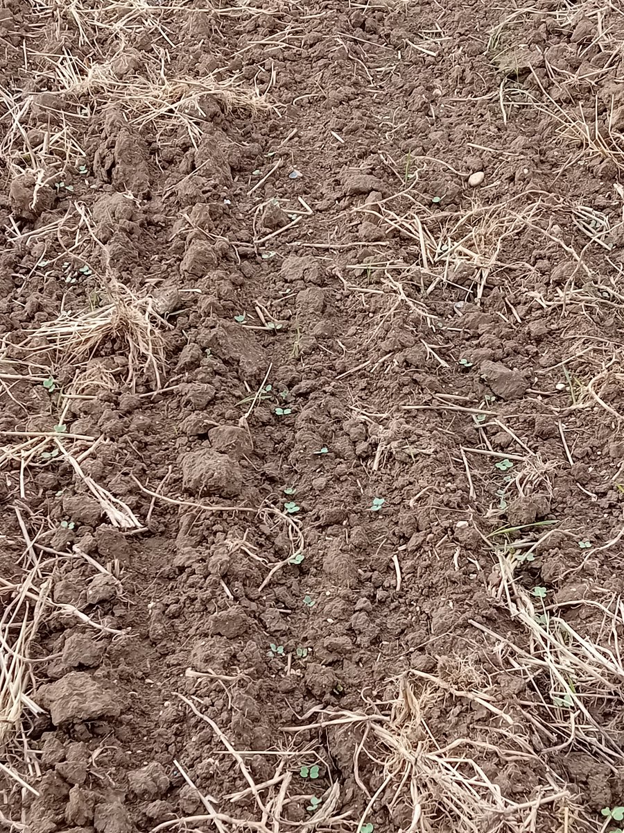 GUYOT Vincent tweet media