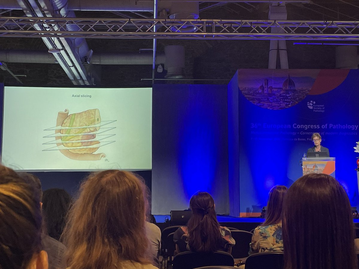 Adriana Zucchiatti tweet media